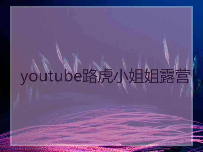 youtube路虎小姐姐露营