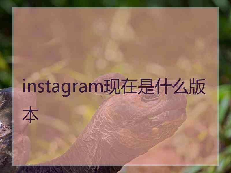 instagram现在是什么版本