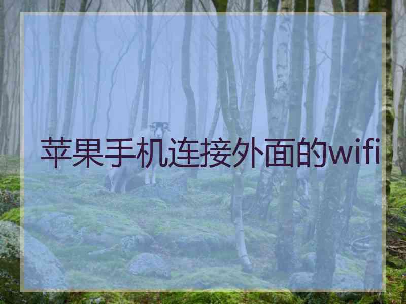 苹果手机连接外面的wifi