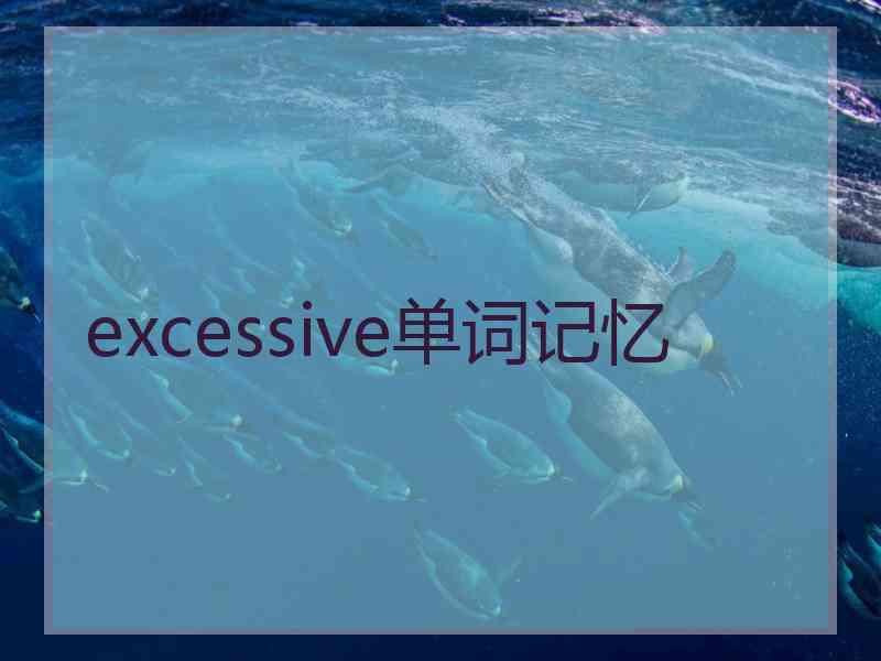 excessive单词记忆