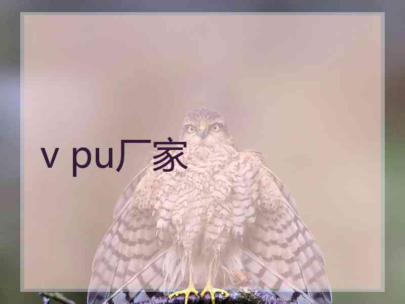 v pu厂家