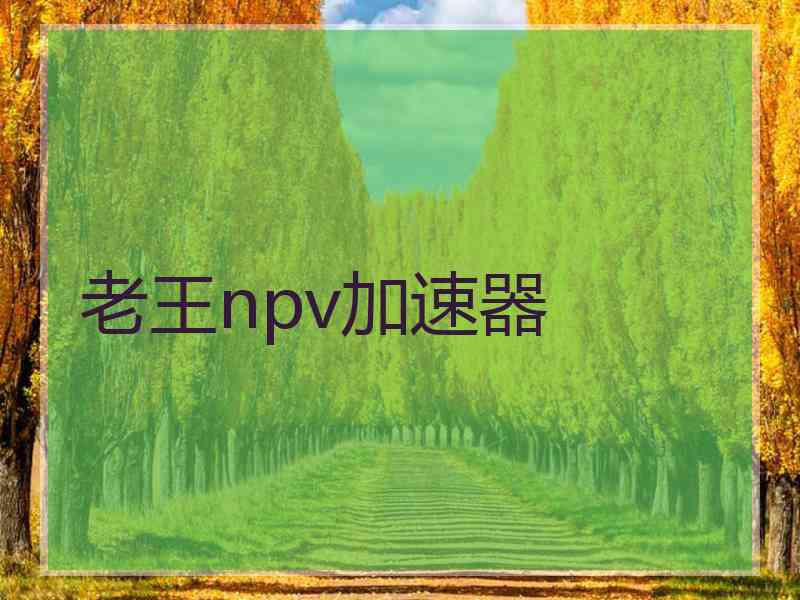 老王npv加速器