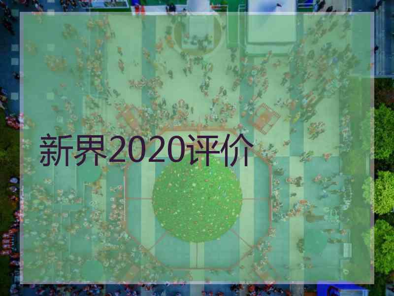 新界2020评价