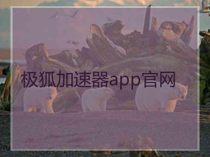 极狐加速器app官网