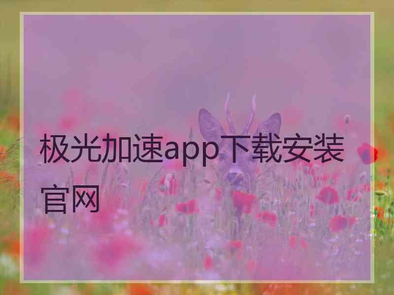 极光加速app下载安装官网