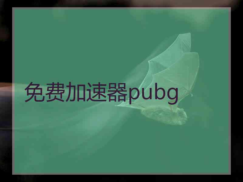 免费加速器pubg