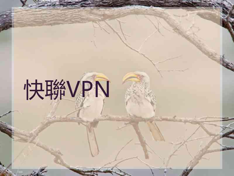 快聯VPN