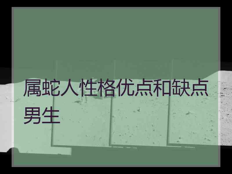 属蛇人性格优点和缺点男生