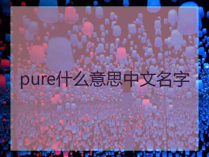 pure什么意思中文名字