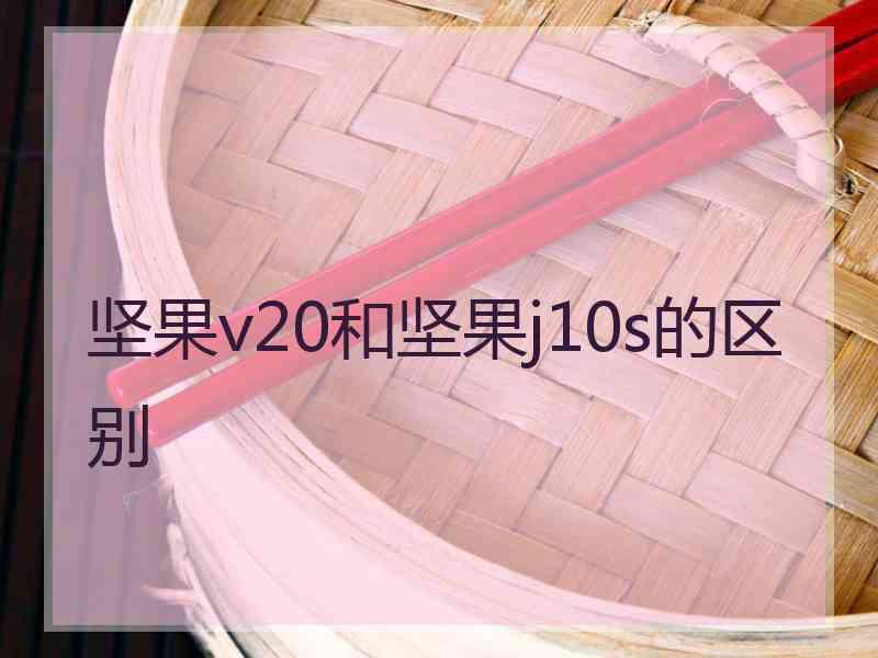 坚果v20和坚果j10s的区别