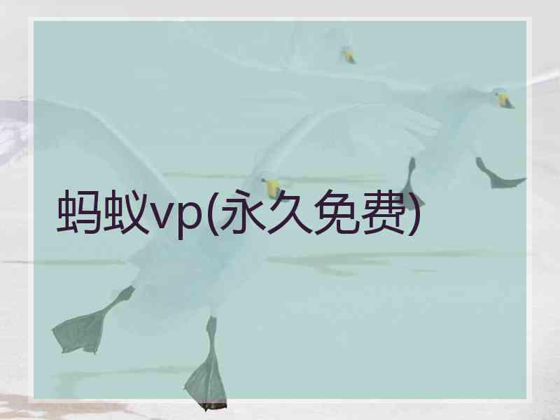 蚂蚁vp(永久免费)