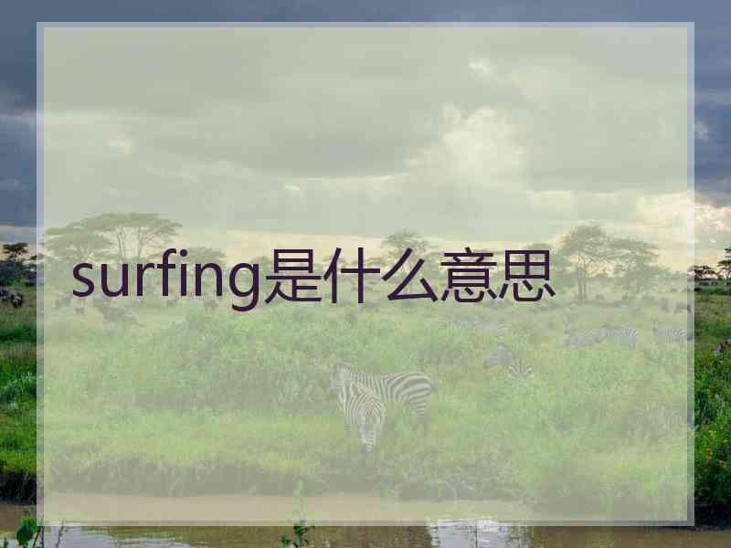 surfing是什么意思