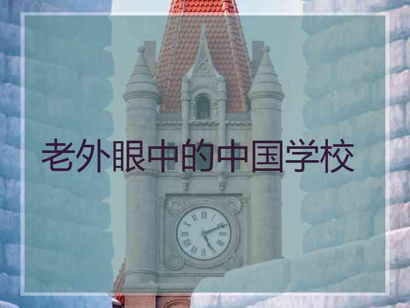 老外眼中的中国学校