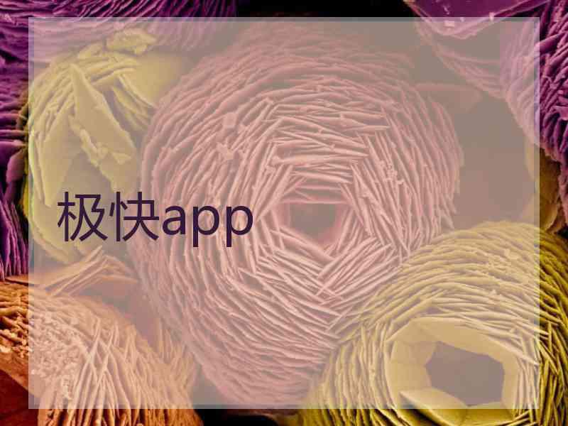 极快app