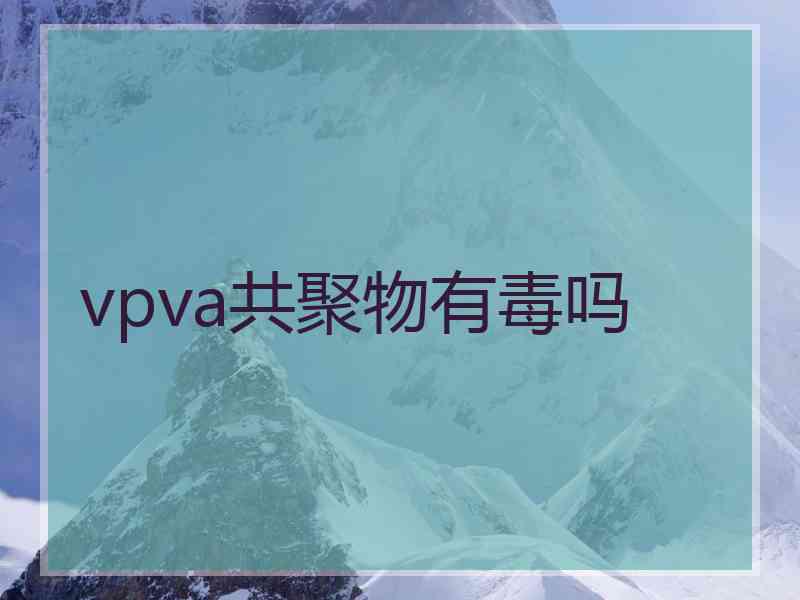 vpva共聚物有毒吗