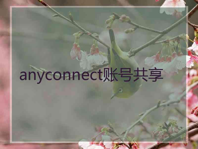 anyconnect账号共享