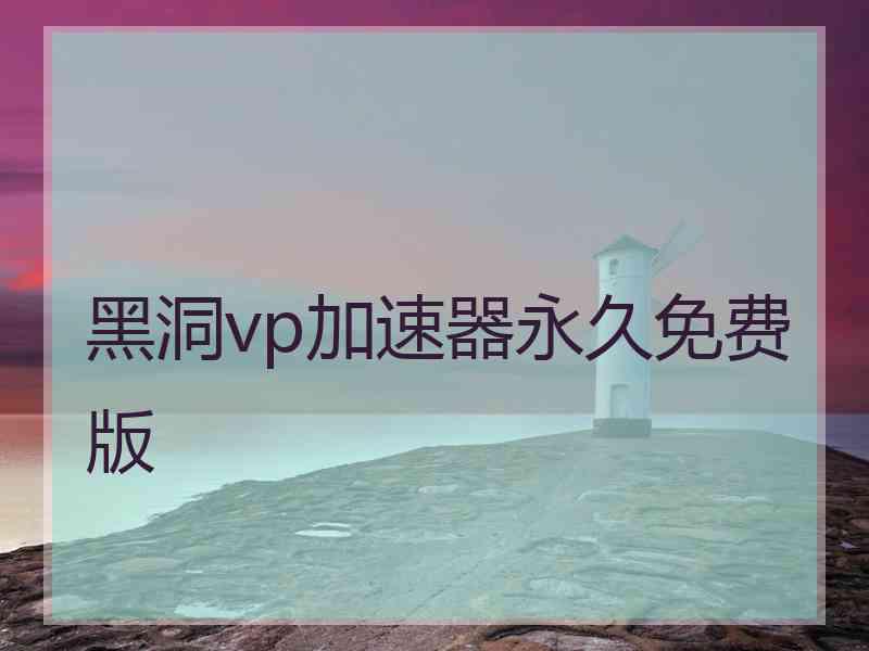 黑洞vp加速器永久免费版