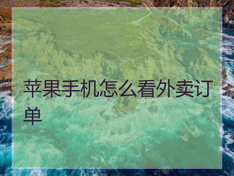 苹果手机怎么看外卖订单