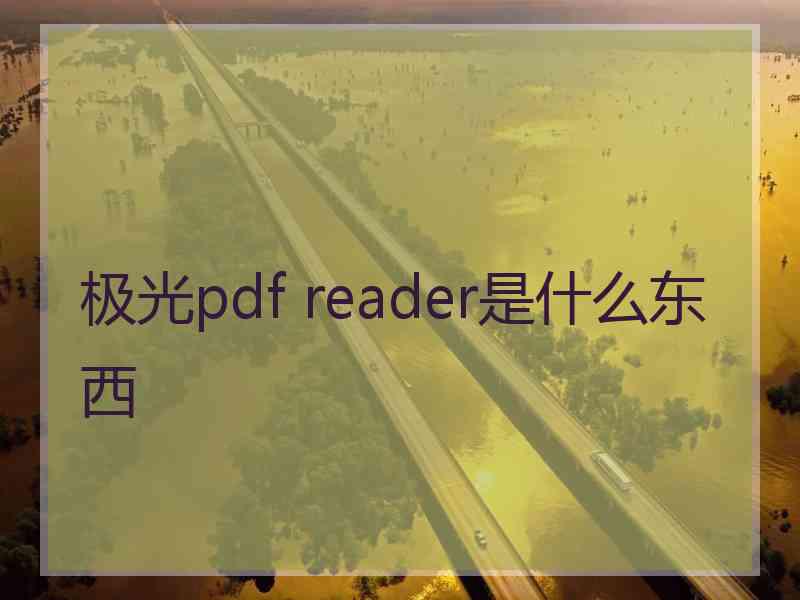 极光pdf reader是什么东西