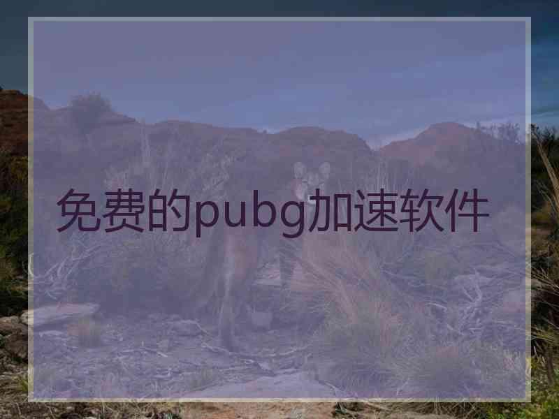 免费的pubg加速软件