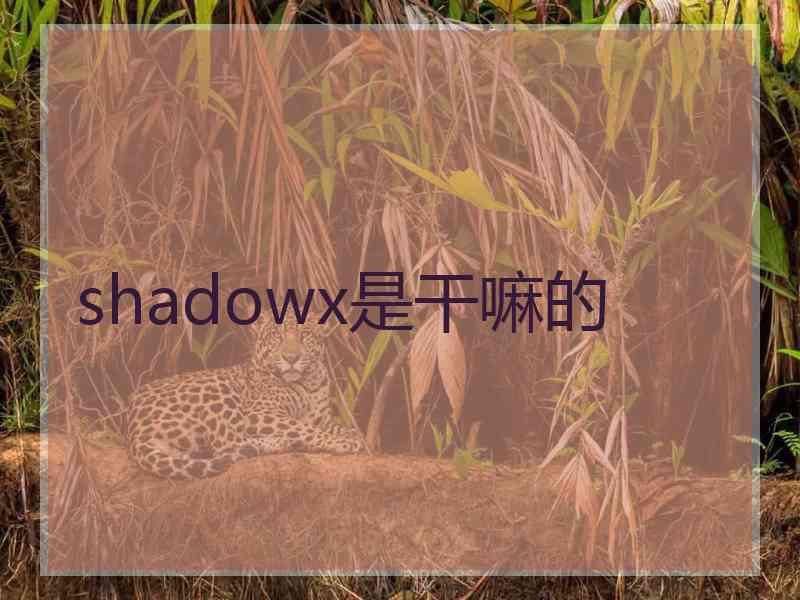 shadowx是干嘛的