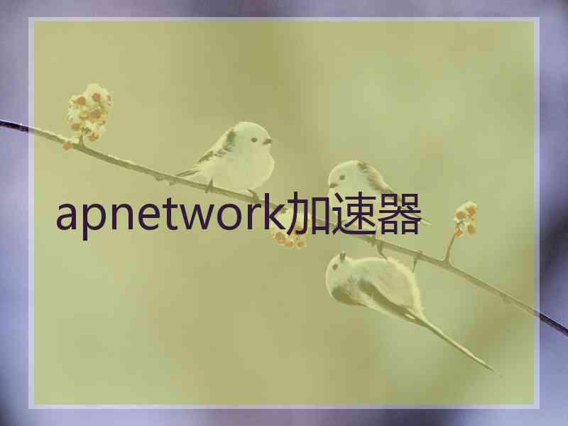 apnetwork加速器