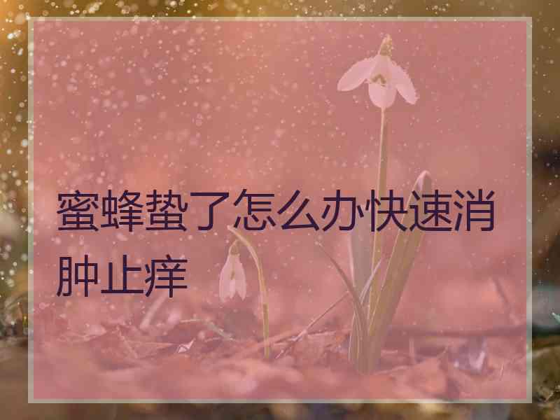 蜜蜂蛰了怎么办快速消肿止痒