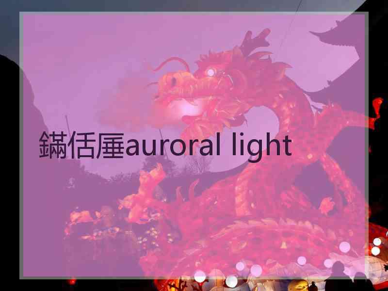 鏋佸厜auroral light