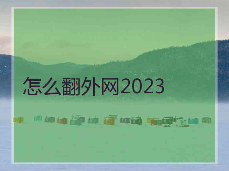 怎么翻外网2023