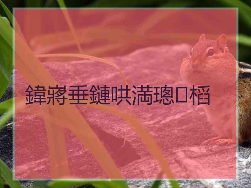 鍏嶈垂鏈哄満璁㈤槄