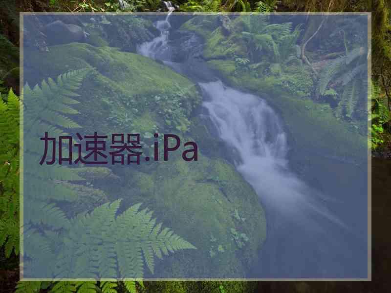 加速器.iPa