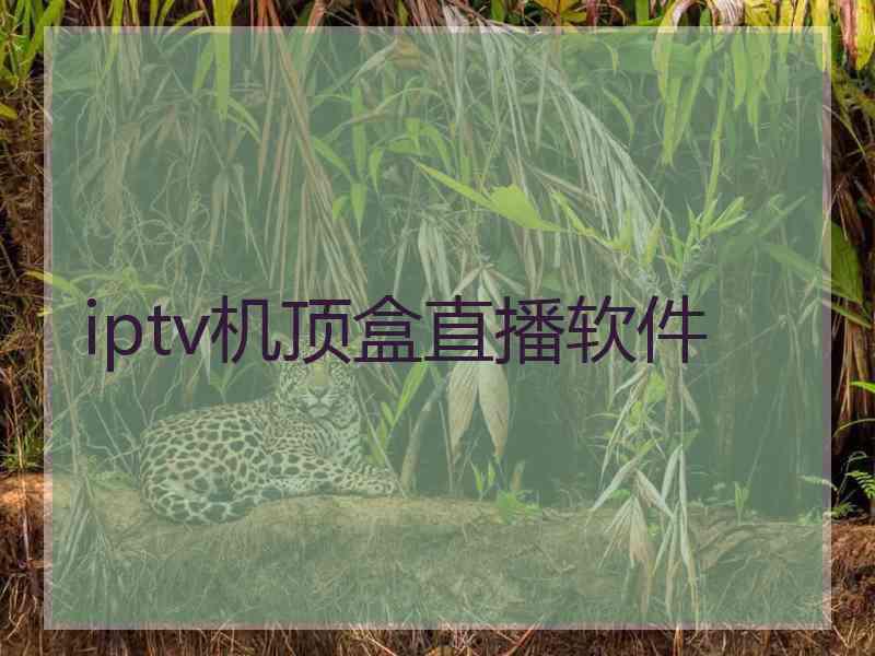 iptv机顶盒直播软件