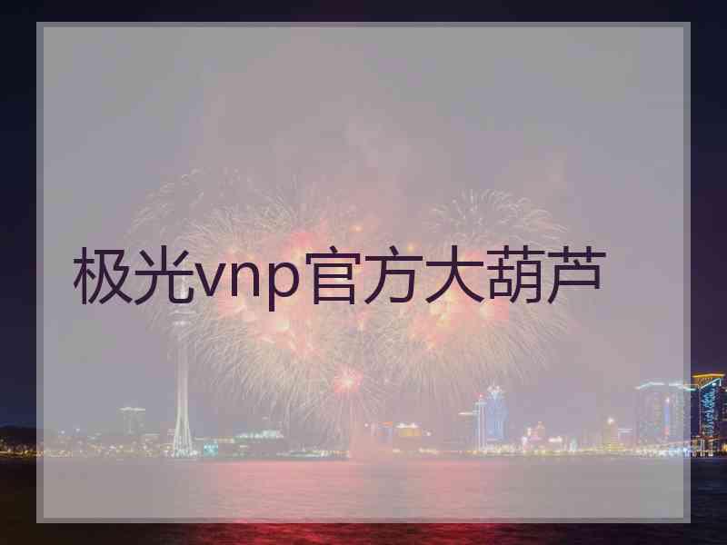 极光vnp官方大葫芦