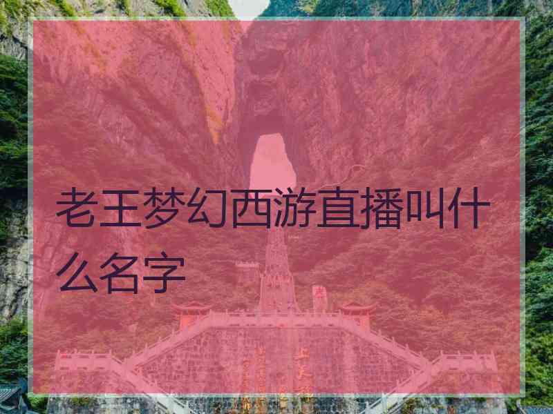 老王梦幻西游直播叫什么名字