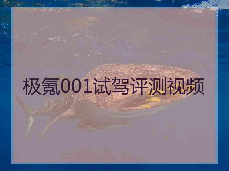 极氪001试驾评测视频