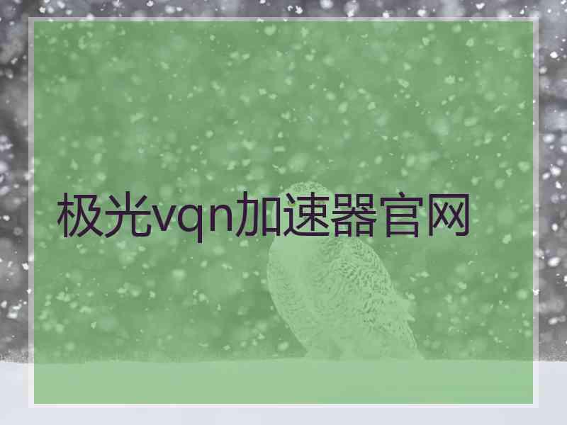 极光vqn加速器官网