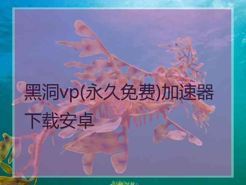 黑洞vp(永久免费)加速器下载安卓