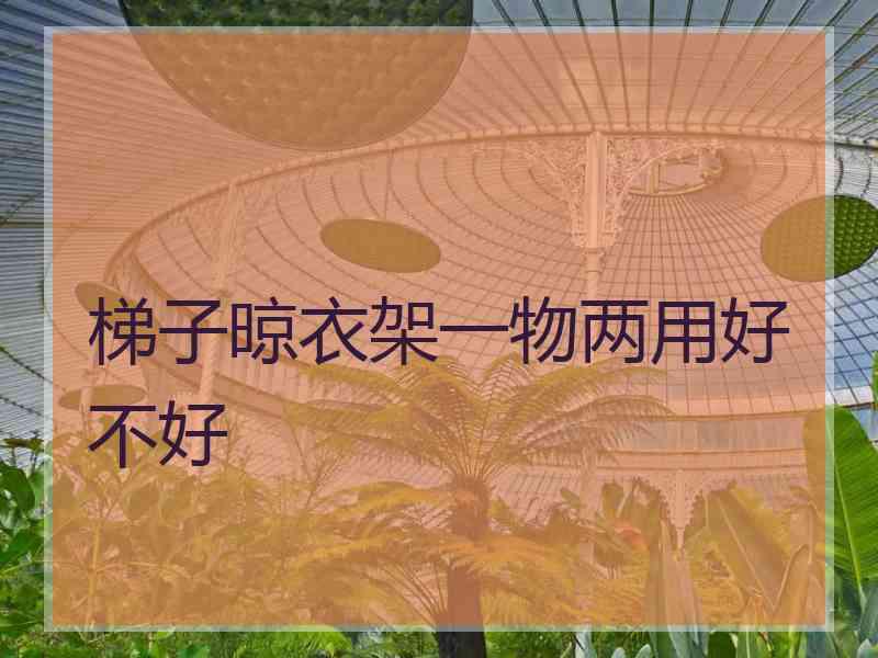 梯子晾衣架一物两用好不好