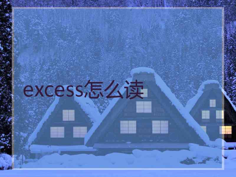 excess怎么读