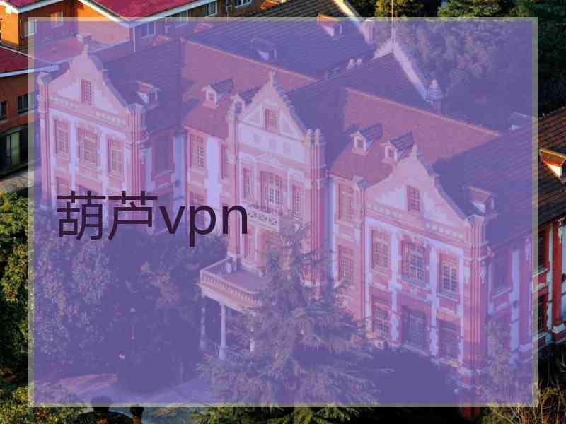 葫芦vpn