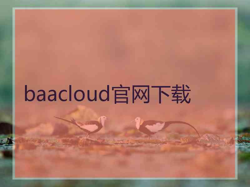 baacloud官网下载