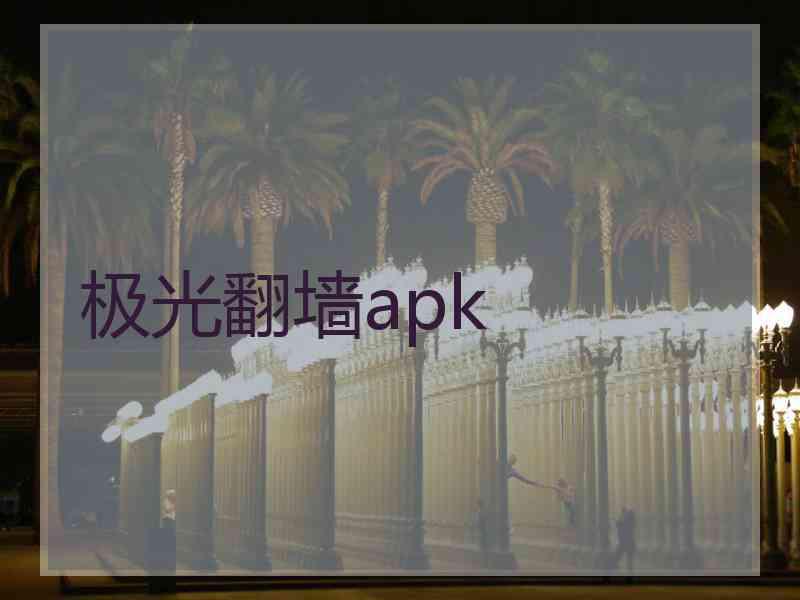 极光翻墙apk