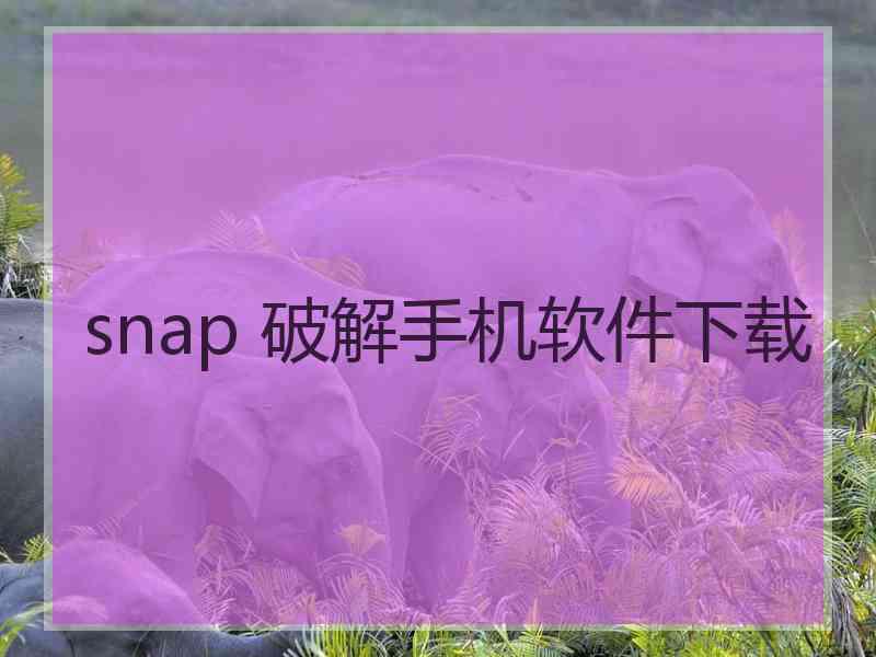 snap 破解手机软件下载