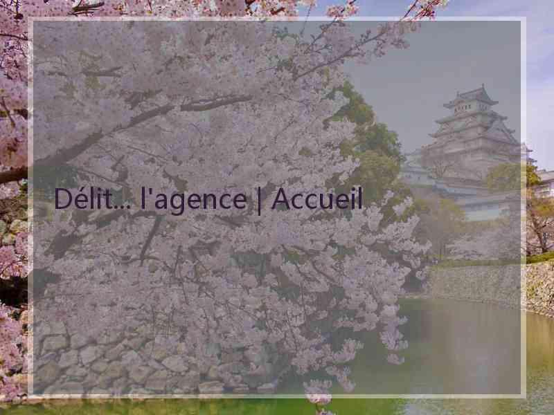 Délit... l'agence | Accueil