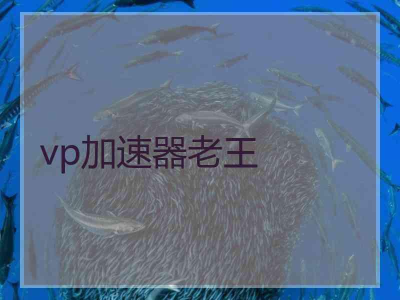 vp加速器老王