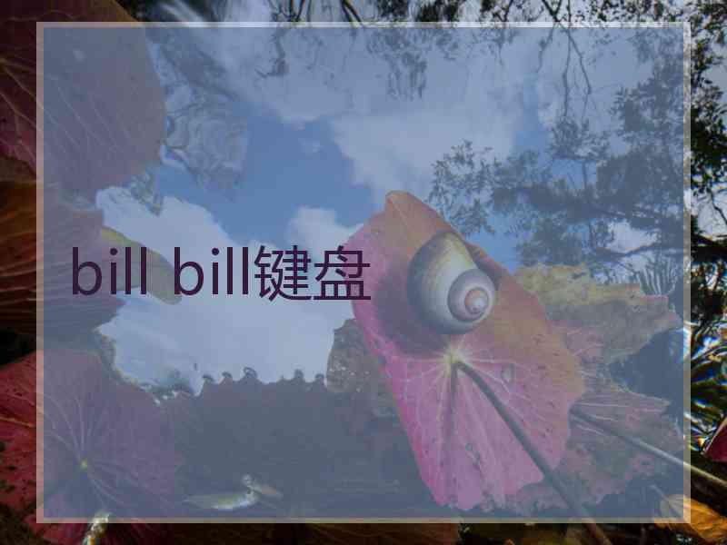 bill bill键盘