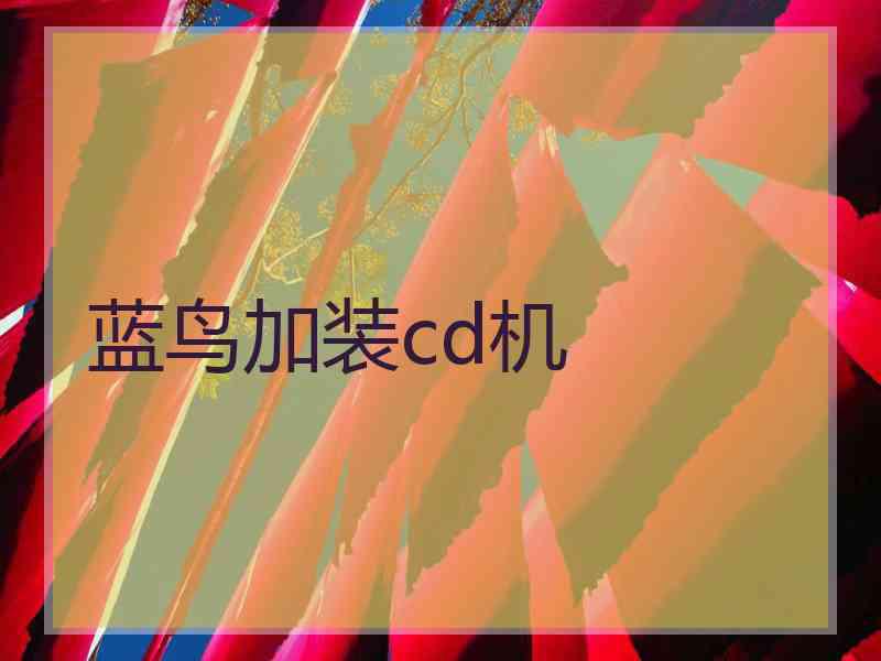 蓝鸟加装cd机