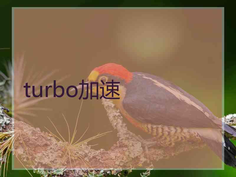 turbo加速