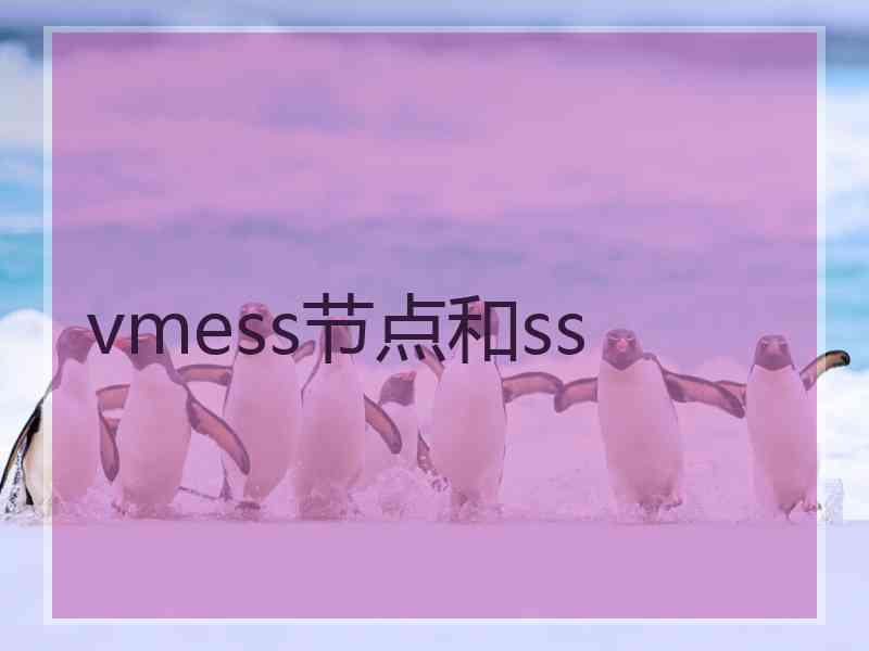 vmess节点和ss