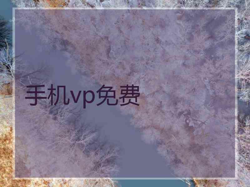 手机vp免费